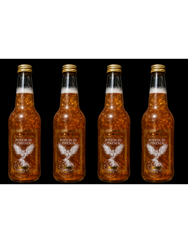 Pack Potion du Phoenix