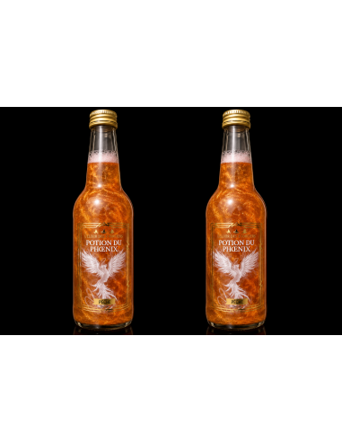 Pack Duo Potion du Phoenix